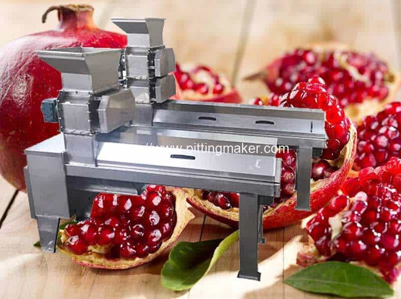 Pomegranate Peeling Machine Price